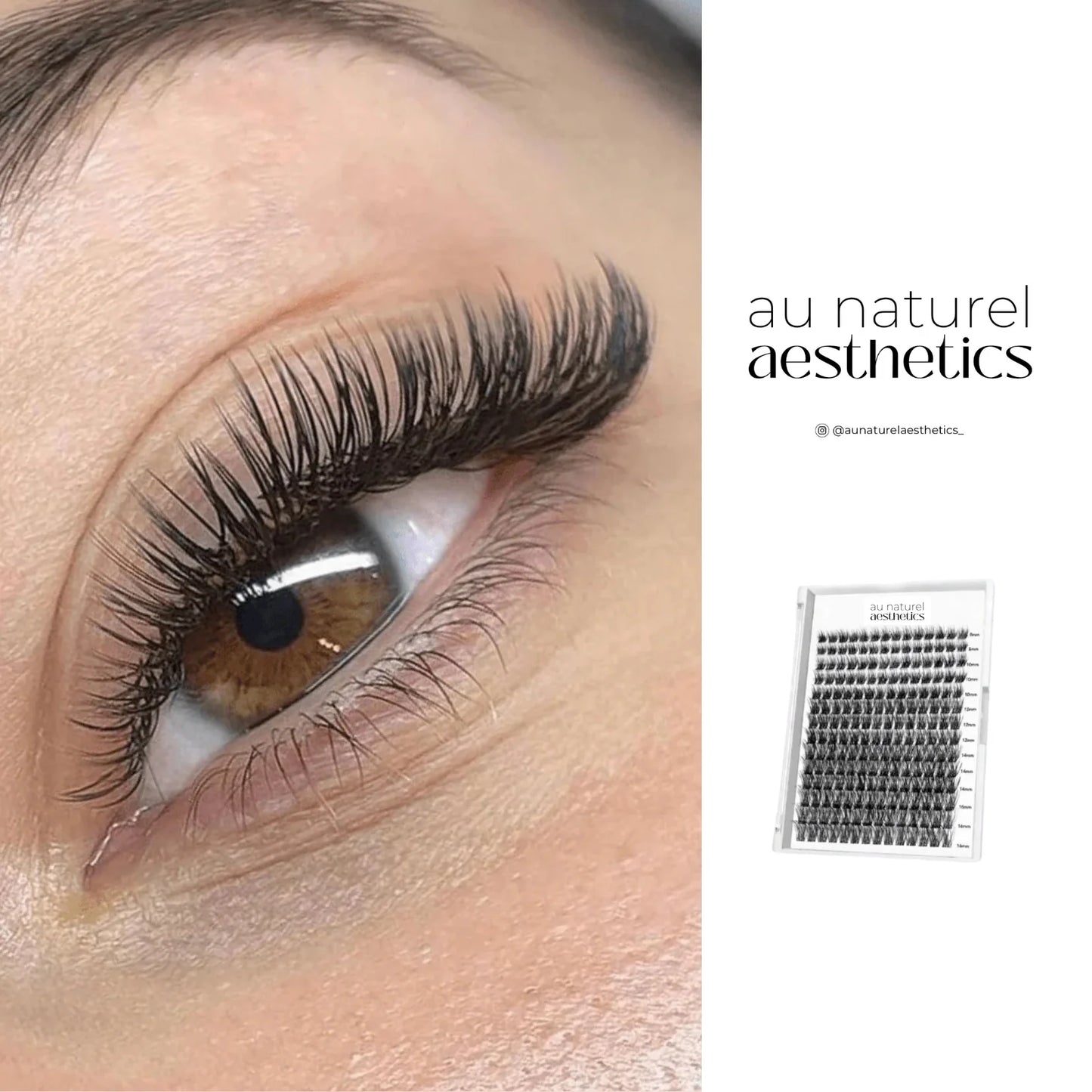 Lash DIY Starter Kit