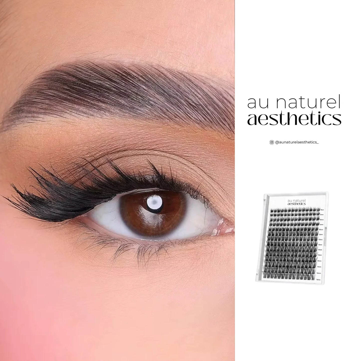 Lash DIY Starter Kit