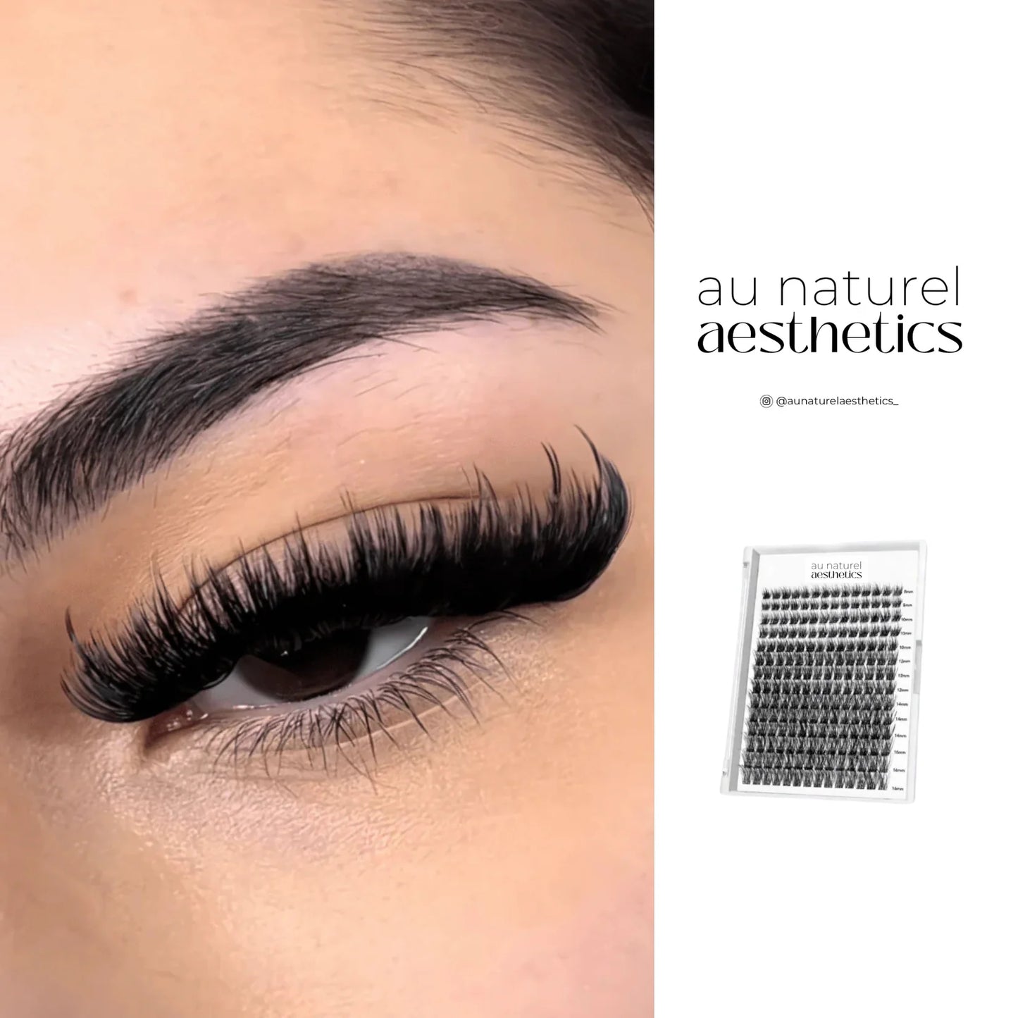 Lash DIY Starter Kit