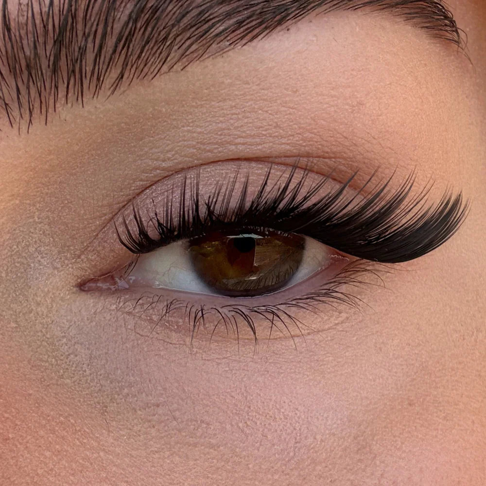 On The Go Lash Cluster Trays